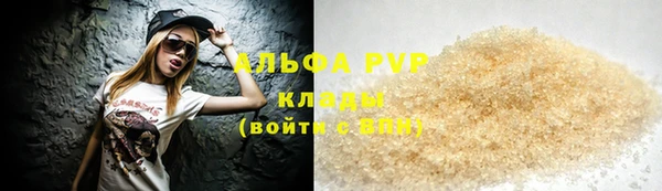 шишки Братск