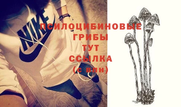 COCAINE Медвежьегорск