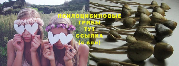 COCAINE Медвежьегорск